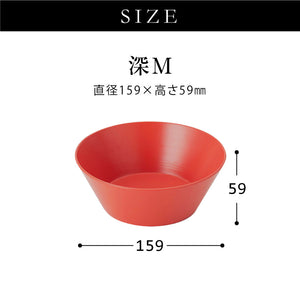 ◆ 漆器ギフト 2点セット 越前漆器 食洗器対応 ギフトブックス入 平皿 深皿 漆琳堂 #Aセット