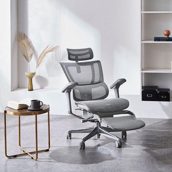 エルゴヒューマン FIT2 LPL オフィスチェア オットマン付 #グレーフレーム×ホワイト