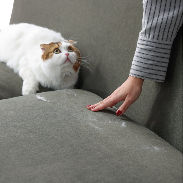 毛が付いても、手でなでるとまとめやすく、取り除きやすい生地です。（※ペットフレンドリー生地） #モスグリーン【ペットフレンドリー生地】