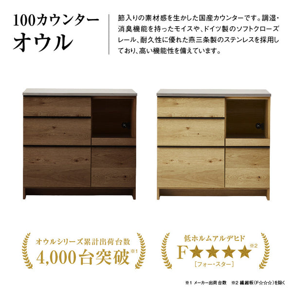 オウルⅡ カウンター 幅100cm #ウォールナット