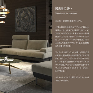コスターナ　ヘッドレスト2.5人掛け用・1人掛け用・スモールカウチ用 #PLT111 プラチナグレー #プライム レザーテックス