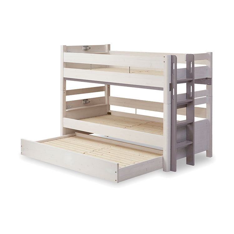 限定4L.3L 文旦　20kg 69 Z-DRAGON】 78164 ロングスリーブ＜名入れ刺繍加工不可＞[2023年