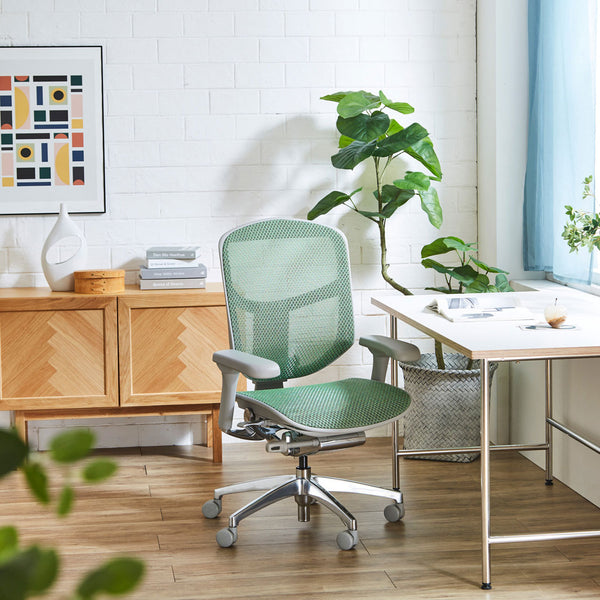 【数量限定】  エルゴヒューマン エンジョイⅡ ロータイプ #ブラック×ブラック