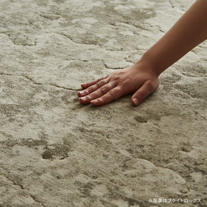 凹凸がなく、程よい長さの毛足が特徴。オールシーズン快適にご使用いただけます。 #240cm×330cm