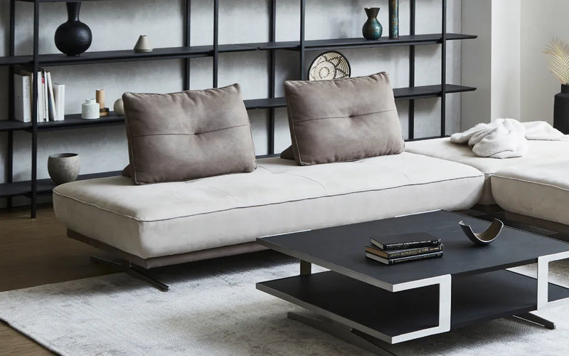 アルフレード　160サイズ 