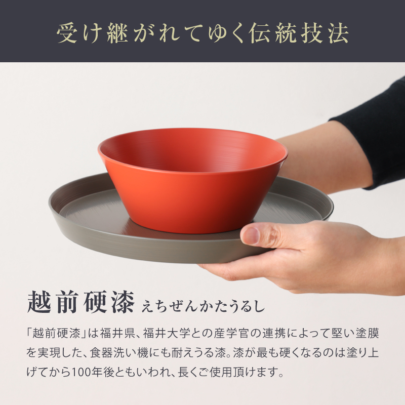 ◇ 漆器ギフト 2点セット 越前漆器 食洗器対応 ギフトブックス入 平皿 深皿 Aセット 漆琳堂